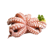 WHOLE OCTOPUS